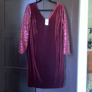 NWT Lane Bryant velvet dress